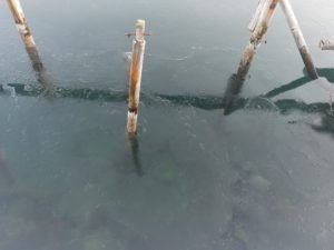 IMG_20210310_142425
