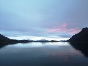 IMG_20201113_131813