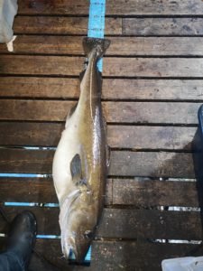 IMG_20210620_181115