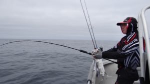 DSC00045-800x450