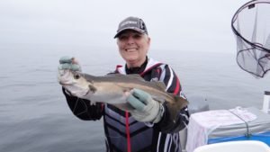 DSC00054-800x450