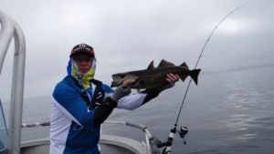 DSC00056-800x450