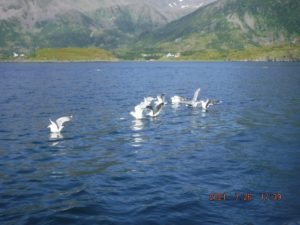 DSCF0698