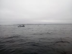 241166660_1237608573353269_977365125303150748_n