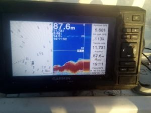 241904825_1245638885883571_2178137120861546769_n