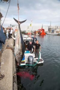 FB_IMG_1631618352228