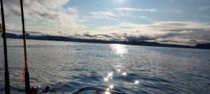IMG-20210823-WA0011-1
