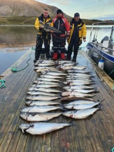 IMG-20210907-WA0021