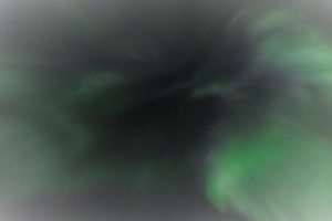IMG-20210918-WA0021