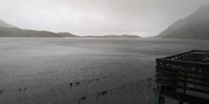 IMG_20211013_115128