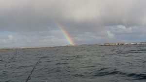 IMG-20211012-WA0007-1