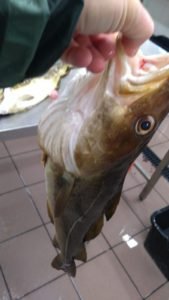 IMG-20211018-WA0003-1