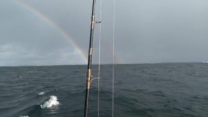 IMG-20211018-WA0007-1