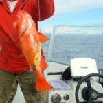 dsc07502_2020-07-01_06_28_46_2020-07-30_21_19_41_2020-07-30_21_21_23