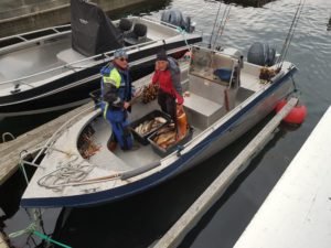 IMG-20220622-WA0004