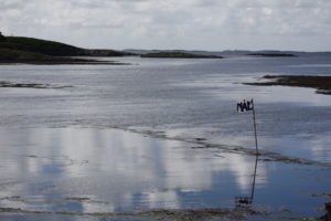 MG_1243-1