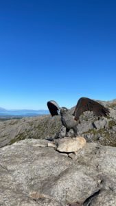 IMG-20220824-WA0015-2
