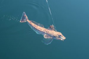 IMG_0806