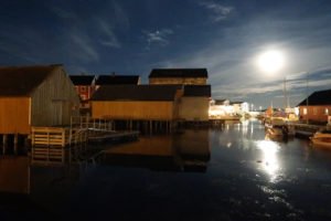 IMG_1310