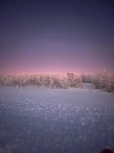 FB_IMG_1668761995480