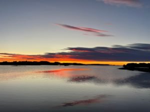 IMG-20221117-WA0005