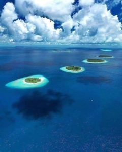 FB_IMG_1673779886668