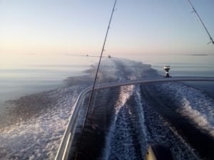 IMG_20220419_203413
