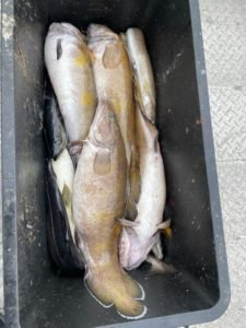 IMG-20230405-WA0010