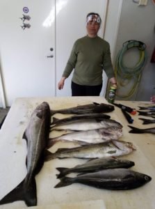 IMG-20230524-WA0016