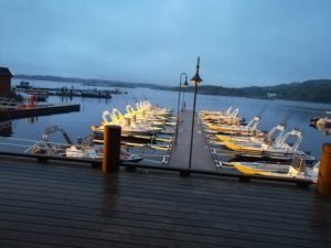 IMG_20190630_002509-1