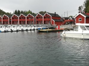 IMG_20190702_101529