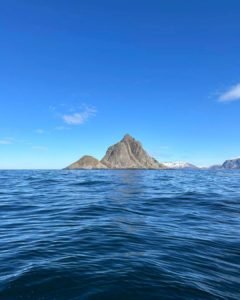 FB_IMG_1714649427482-1