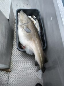 IMG-20240504-WA0000