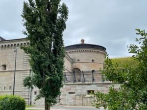 IMG_4521