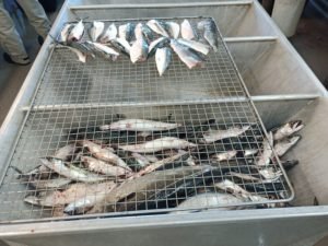 IMG_20240910_181032_930
