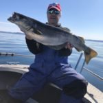 441954773_1866064400507680_4667167664051921559_n-2