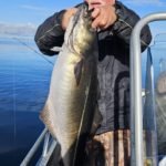 449953735_1894901644290622_1590066104389986152_n-1