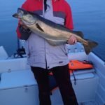 451706140_1902061956907924_2264590120854270860_n-1