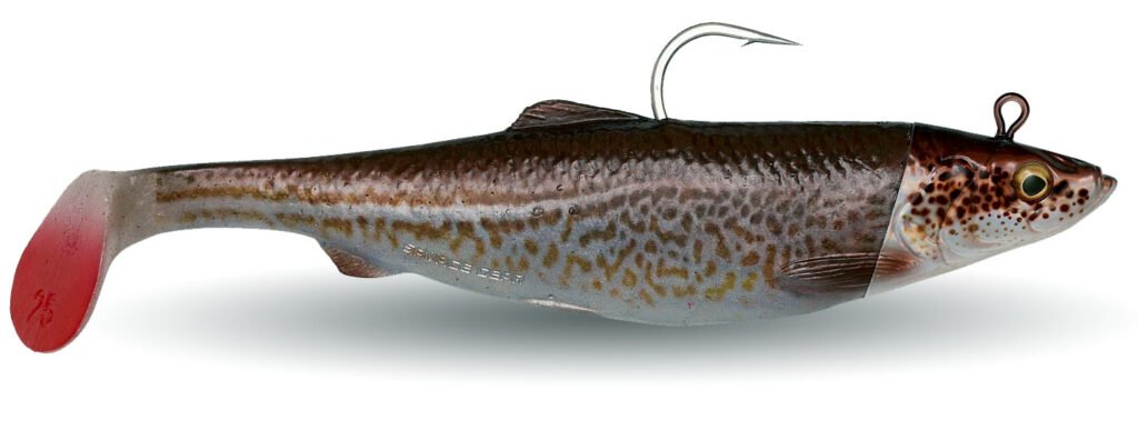 4d herring cod