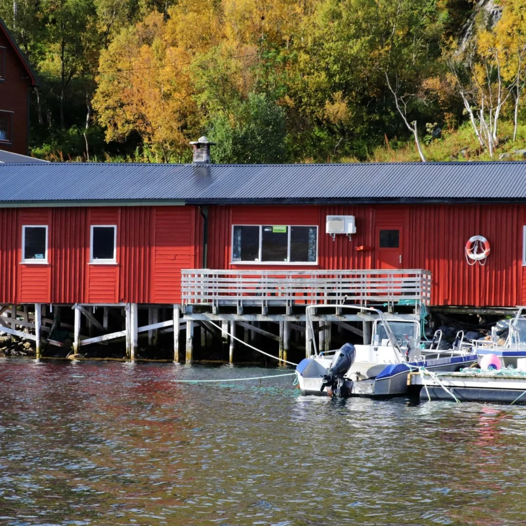 hasfjord1 1