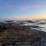 obrazek-whatsapp-2025-04-27-v-15-29-15_77a62981