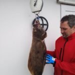 obrazek-whatsapp-2025-04-29-v-19-40-10_0a80672c-2