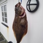 obrazek-whatsapp-2025-04-29-v-19-40-10_3c0f1d81