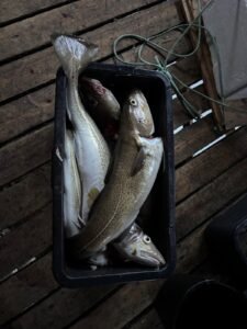IMG-20250520-WA0029