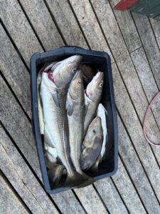IMG-20250520-WA0042