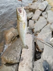 IMG_20250527_150847