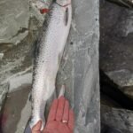 img_20250531_084204
