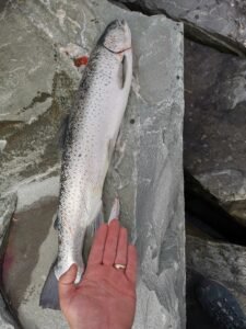 IMG_20250531_084204