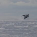 2-352