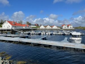 IMG-20250627-WA0008